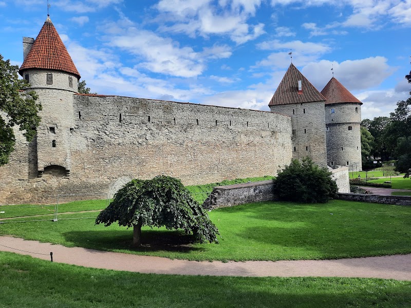 Nun Tower and Walls in Tallinn