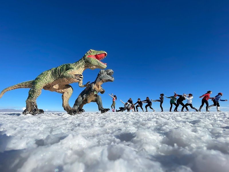Andes Salt Expeditions Tour Operator in Uyuni