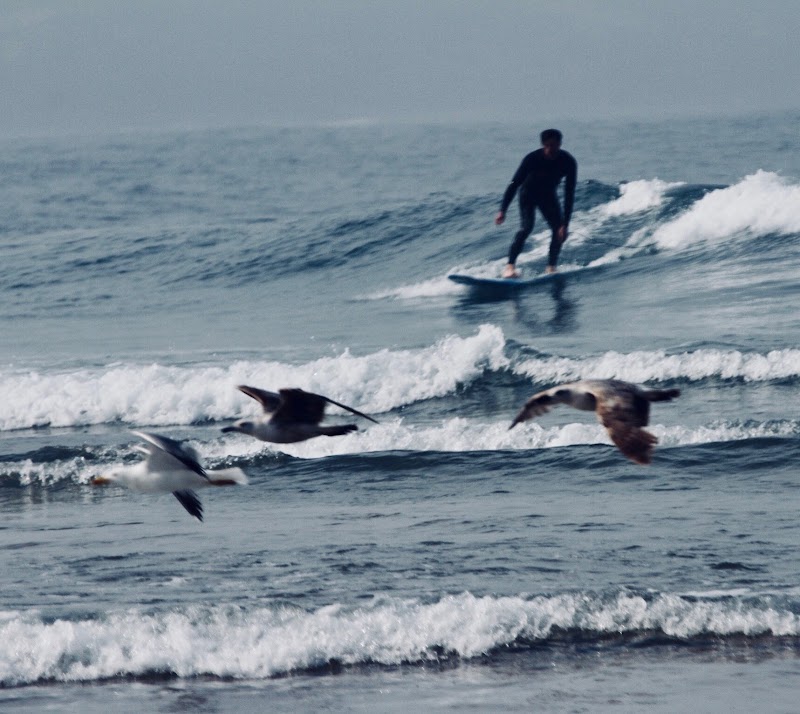 Photo 3 at Travel Surf Morocco in Imsouane