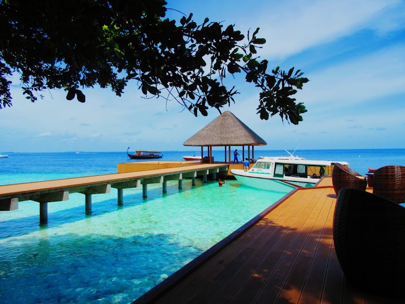 Photo 5 at Fihalhohi Maldives in Male