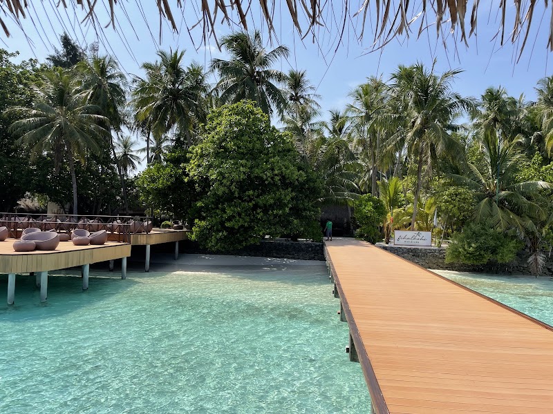 Photo 4 at Fihalhohi Maldives in Male
