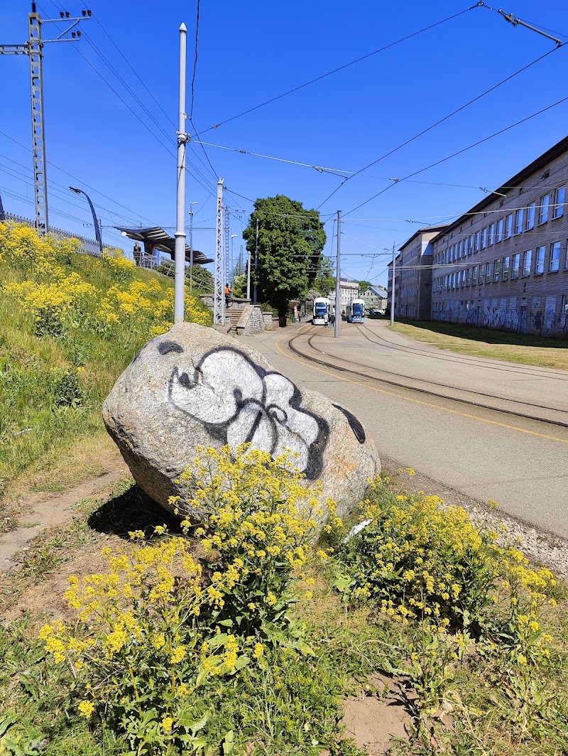 Photo 4 at Rock Of Tondi in Tallinn