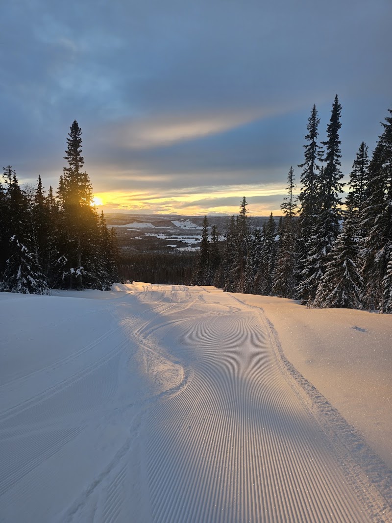 Photo 5 at Arctic Road Trips in Rovaniemi