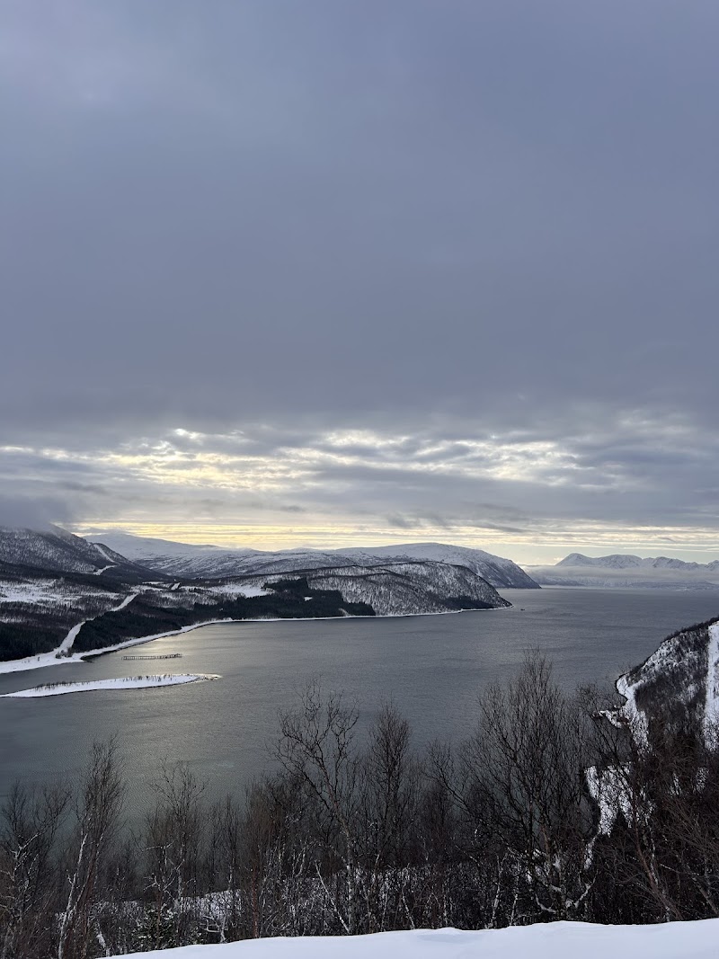 Photo 3 at Arctic Road Trips in Rovaniemi