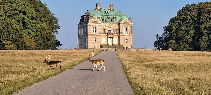 Jægersborg Dyrehave in Klampenborg