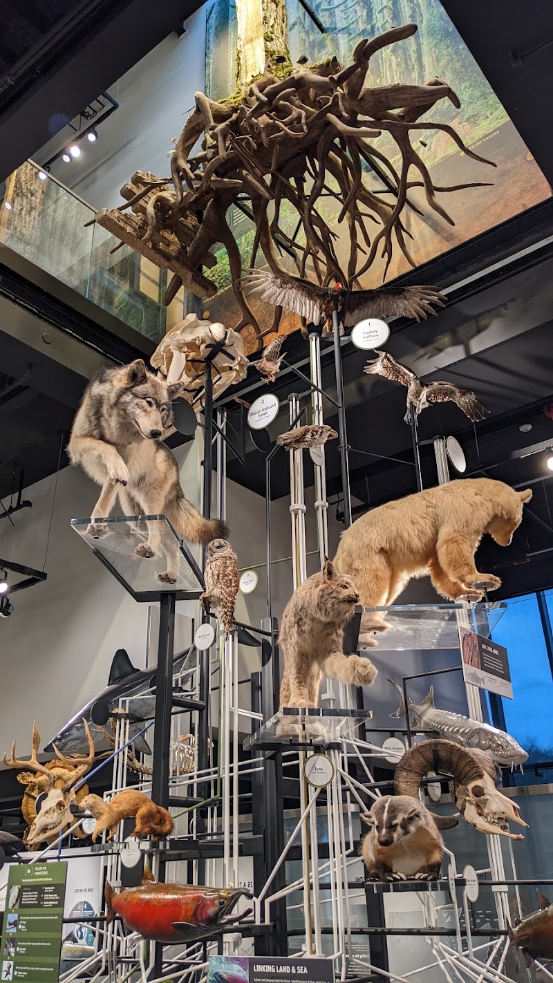 Photo 4 at Burke Museum of Natural History and Culture in Seattle