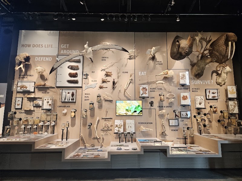 Photo 6 at Burke Museum of Natural History and Culture in Seattle