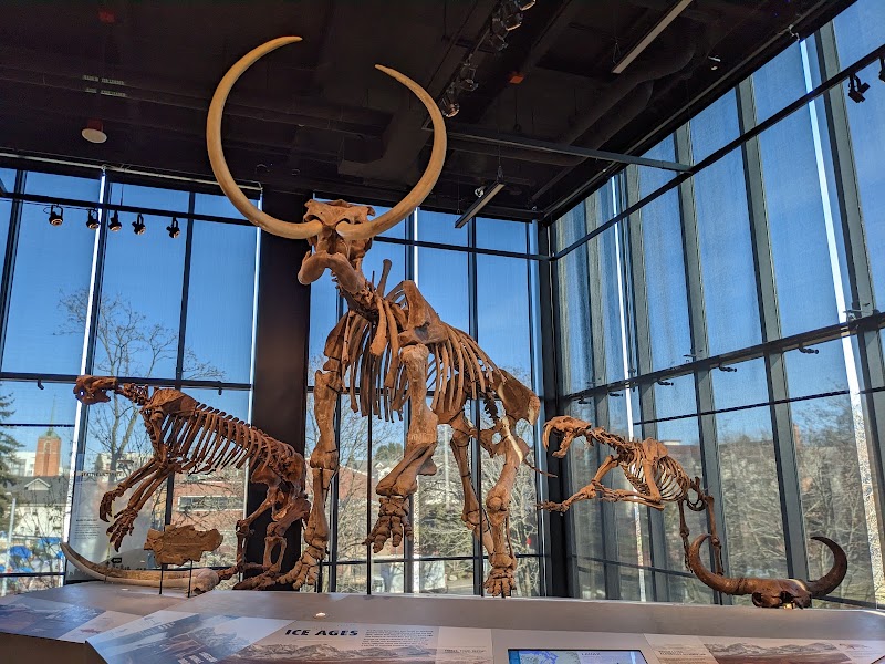 Photo 1 at Burke Museum of Natural History and Culture in Seattle