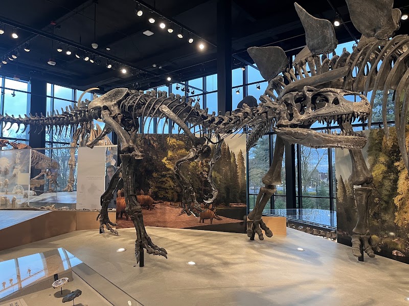 Photo 2 at Burke Museum of Natural History and Culture in Seattle