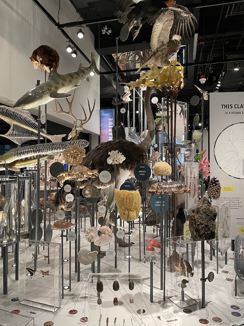Photo 3 at Burke Museum of Natural History and Culture in Seattle