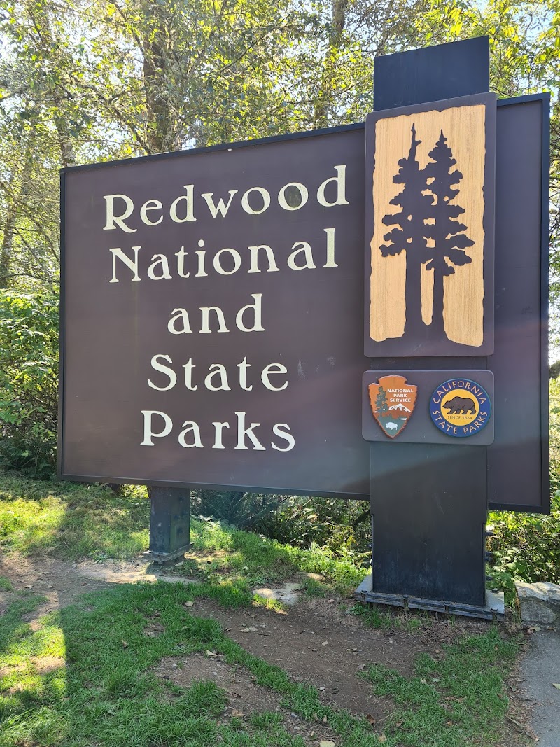 Photo 1 at Redwood National and State Parks in 