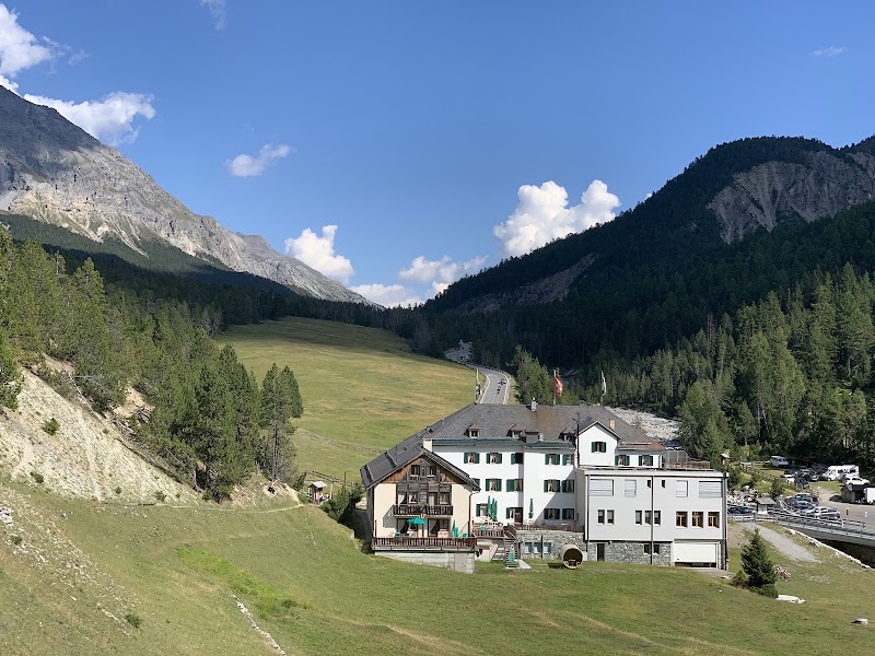Photo 5 at Swiss National Park in Zernez