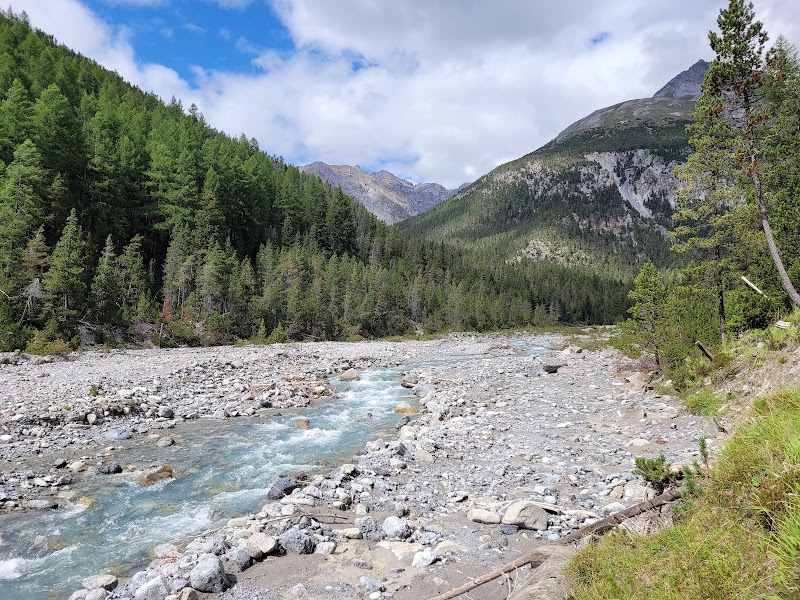 Photo 2 at Swiss National Park in Zernez