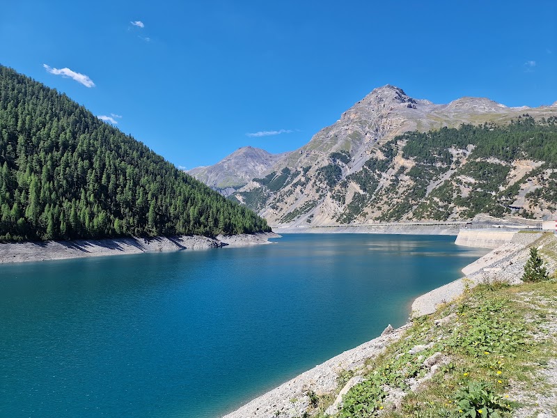 Photo 1 at Swiss National Park in Zernez