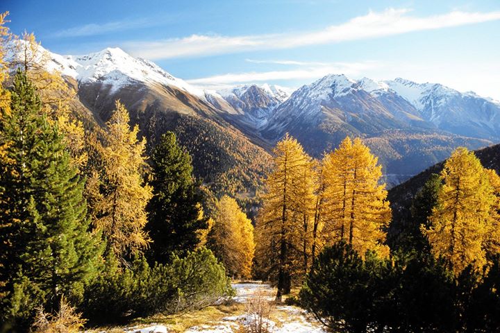 Swiss National Park in Zernez