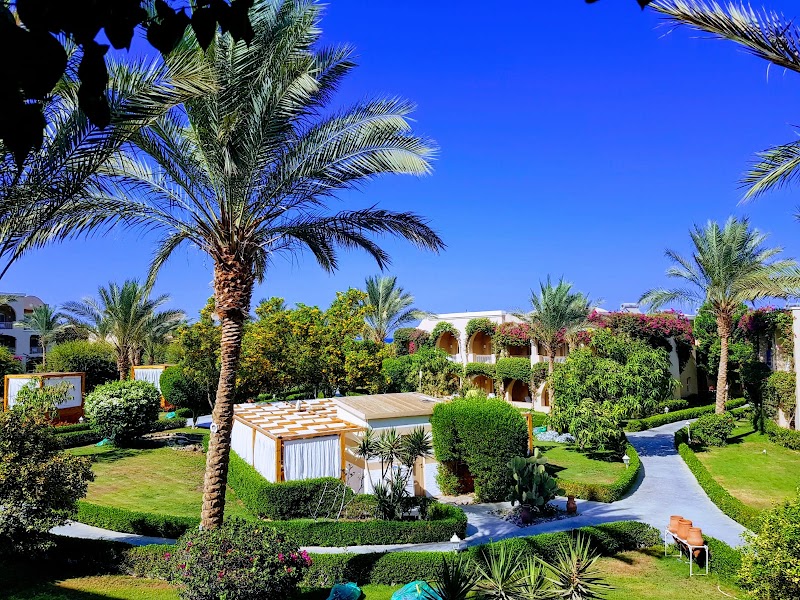 Photo 6 at TUI MAGIC LIFE Kalawy in 