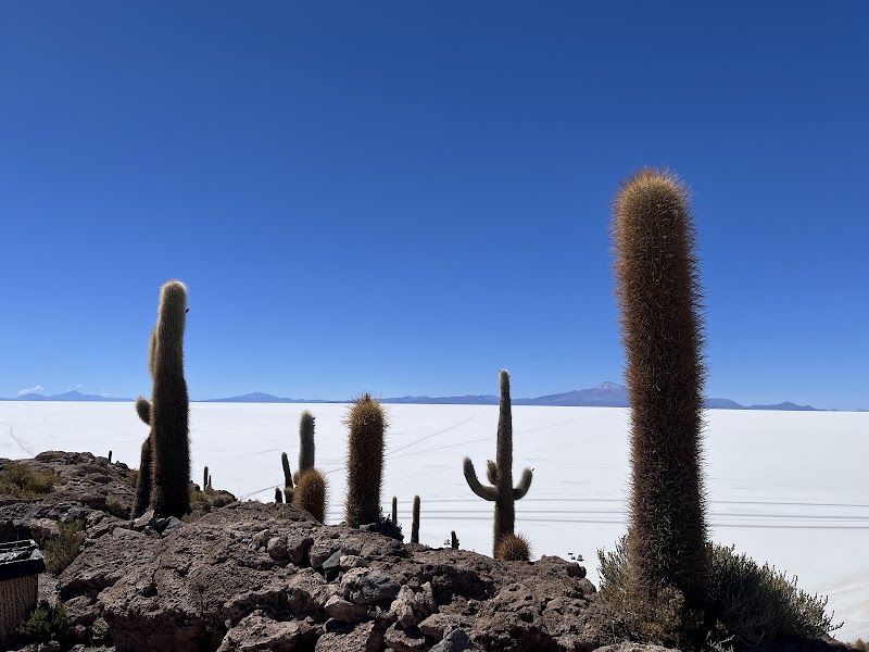 Photo 2 at Banjo Tours in La Paz