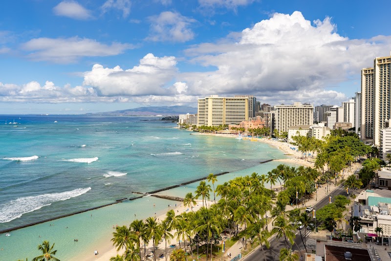 The Twin Fin Hotel in Honolulu
