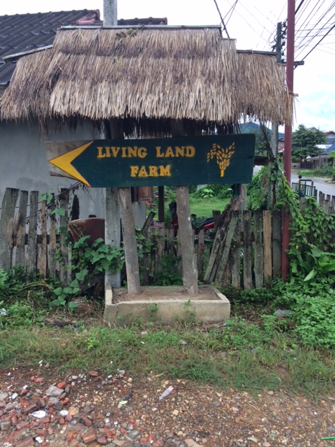 The Living Land Company in Luang Prabang