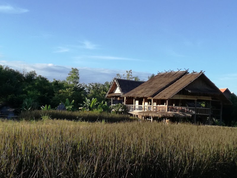 Photo 6 at The Living Land Company in Luang Prabang