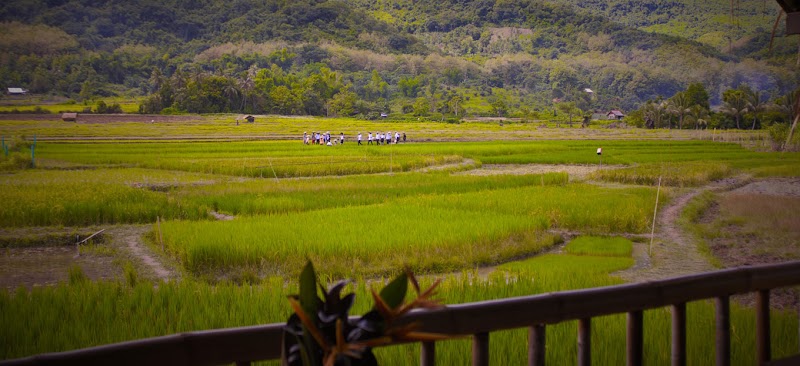 Photo 4 at The Living Land Company in Luang Prabang