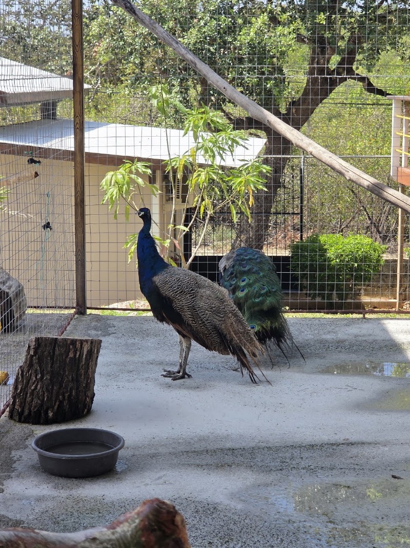 Photo 4 at La Hacienda del Cielo in French Cay
