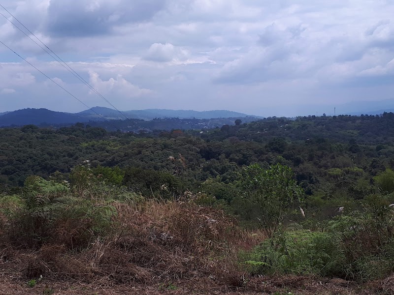 Photo 2 at Alto de Lavapatas in San Agustín