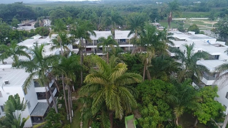 Photo 6 at Negril Beach Club Condos in Negril