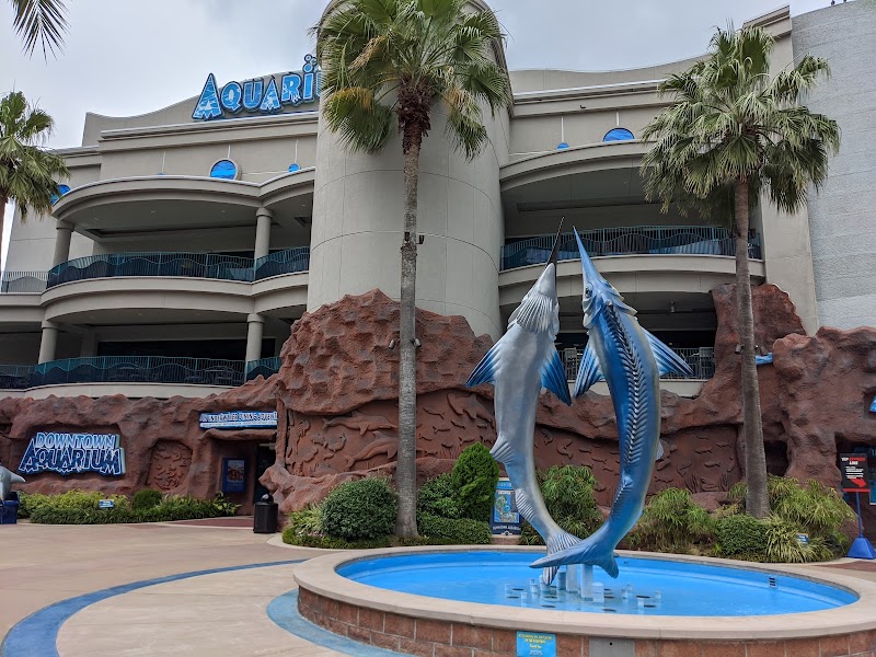Photo 6 at Downtown Aquarium in Houston