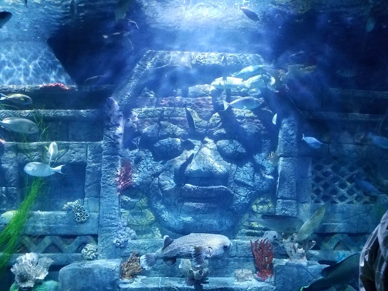 Downtown Aquarium in Houston