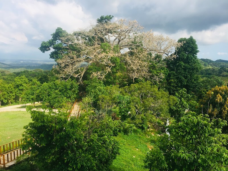 Photo 4 at Jamaica Giants Sculpture Park & Art Gallery in Grange Hill