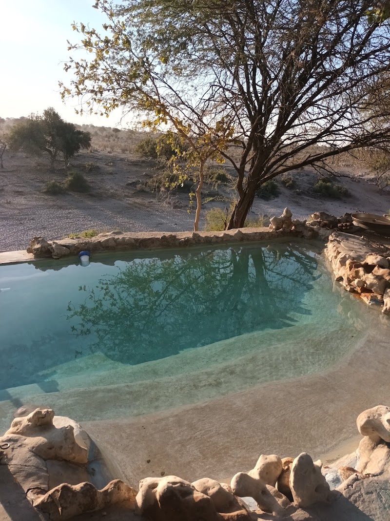 Photo 5 at Meno-A-Kwena Tented Camp in Morematao