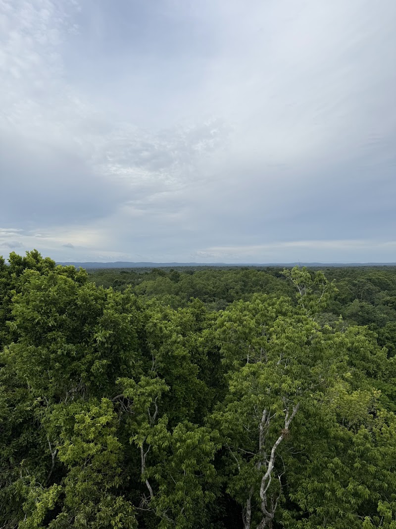 Photo 2 at Acropolis Norte Yaxha in Laguna Yaxjá