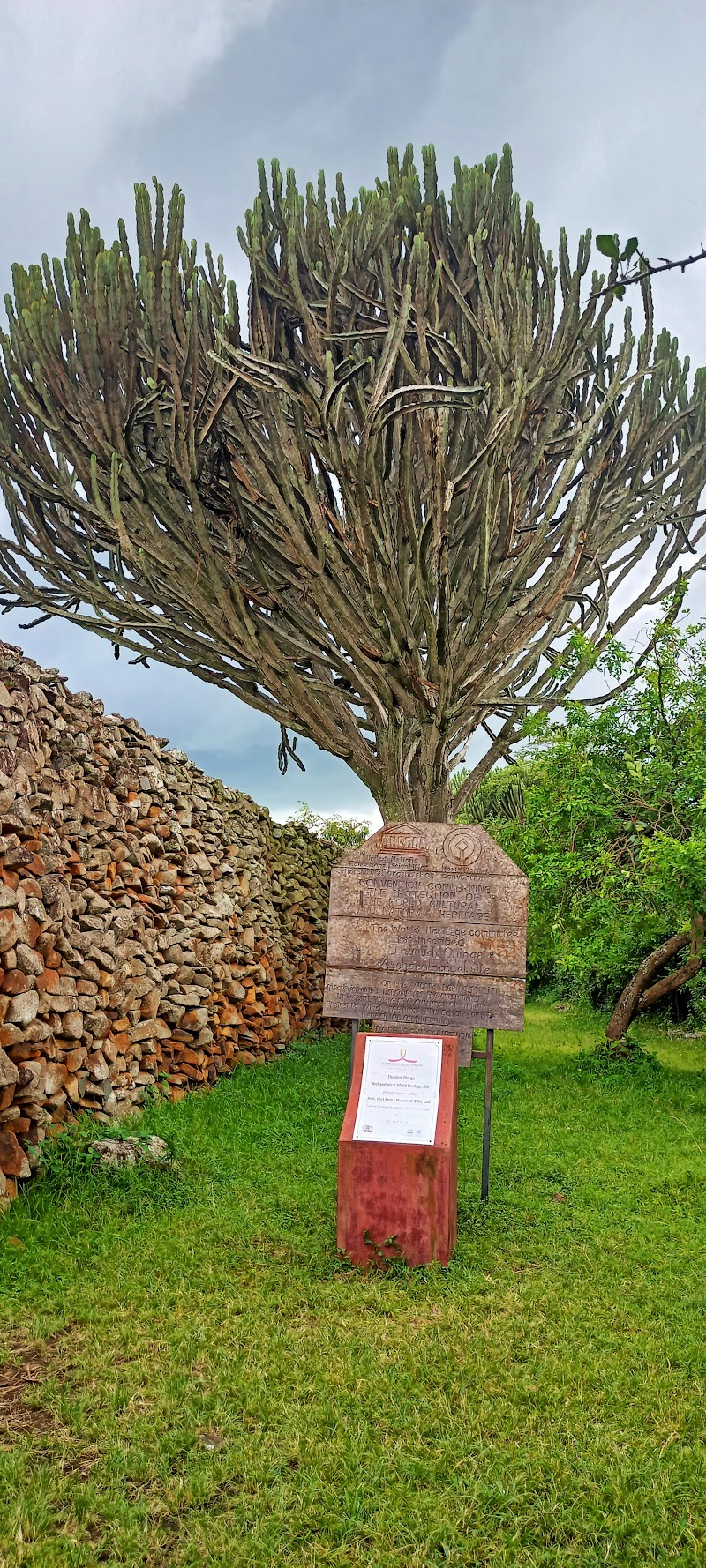 Photo 5 at Thimlich Ohinga Historic Site in Ouma's