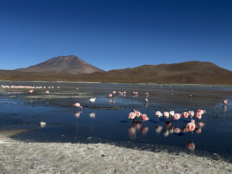 Photo 2 at World White Travel in Uyuni