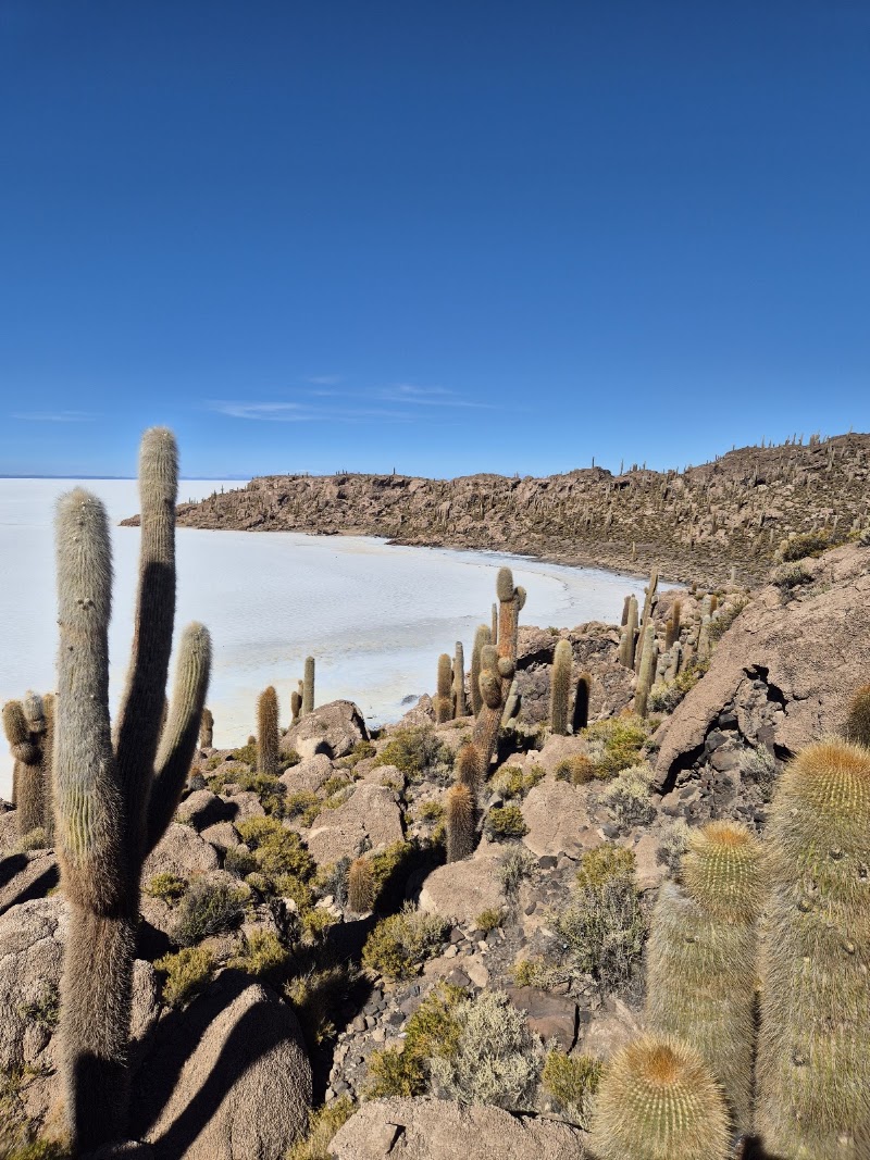 Photo 3 at World White Travel in Uyuni