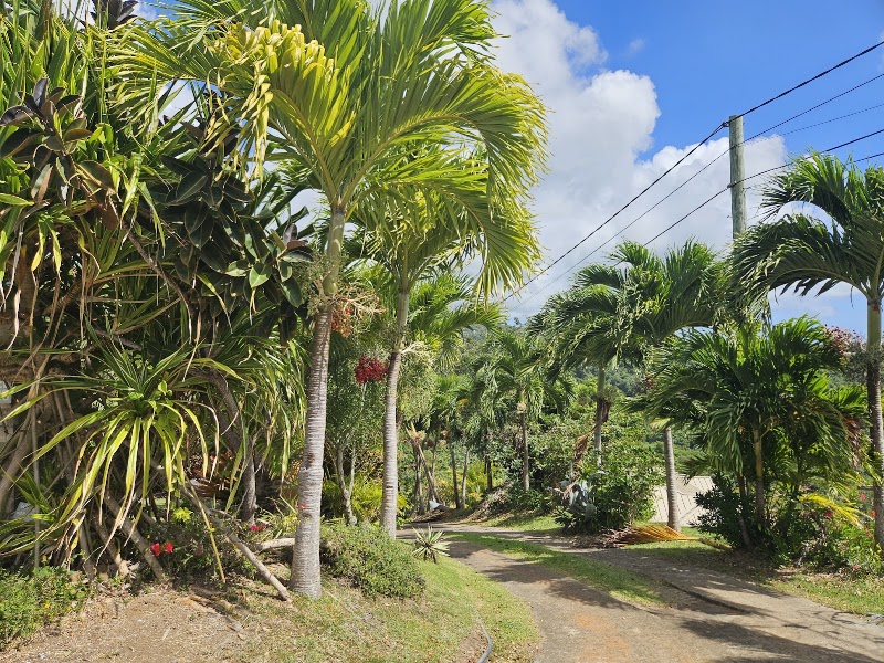 Photo 4 at Palm Tree Gardens in Red Gate