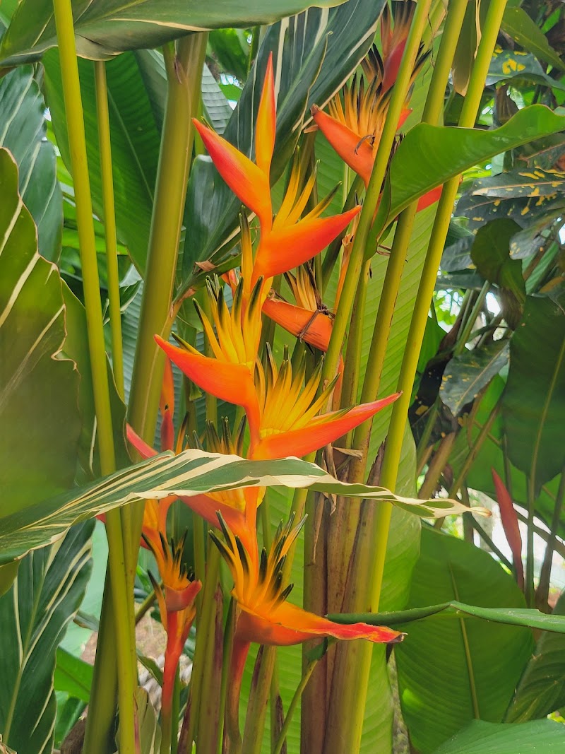 Photo 3 at Palm Tree Gardens in Red Gate