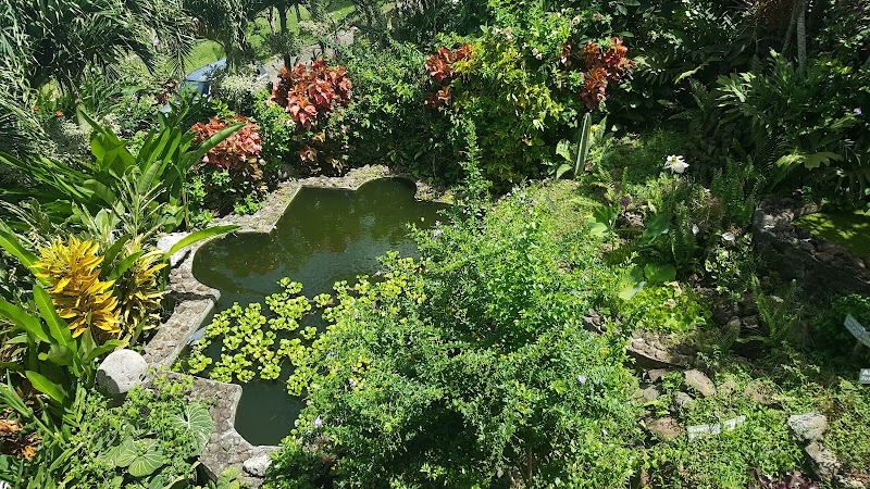 Photo 1 at Palm Tree Gardens in Red Gate