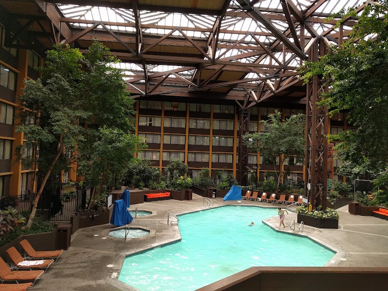 Photo 2 at Seattle Airport Marriott in Seattle