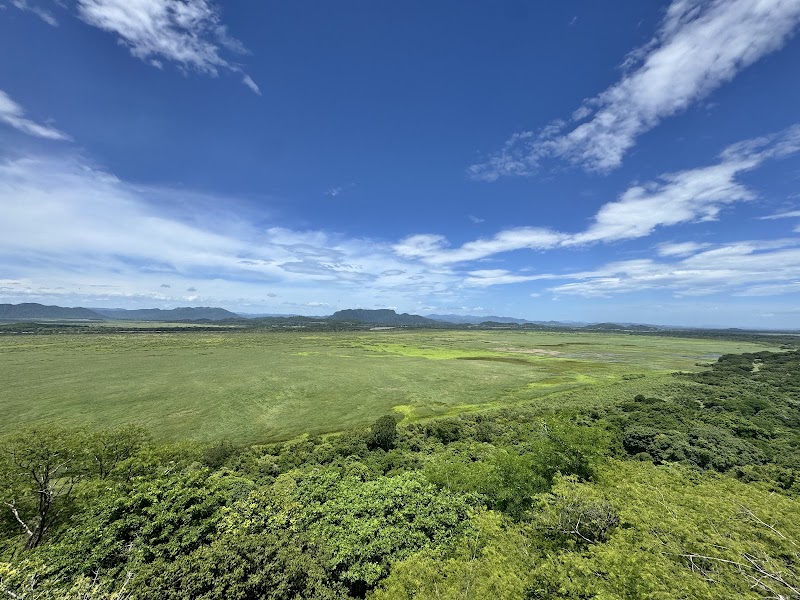 Photo 4 at Parque Nacional Palo Verde in 