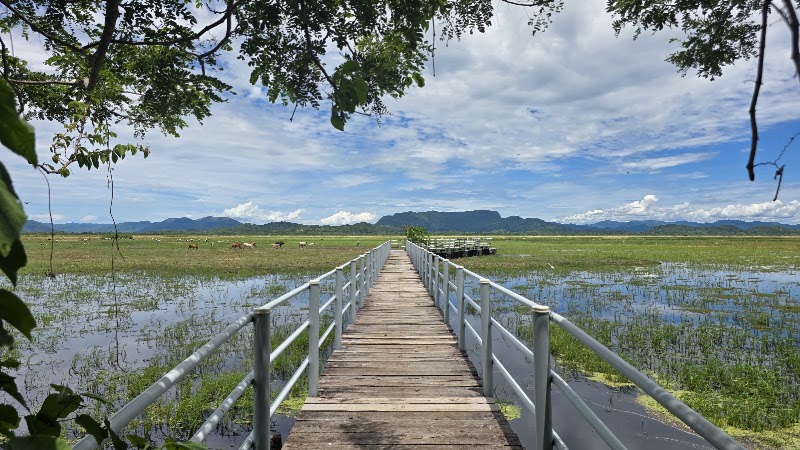 Parque Nacional Palo Verde in 