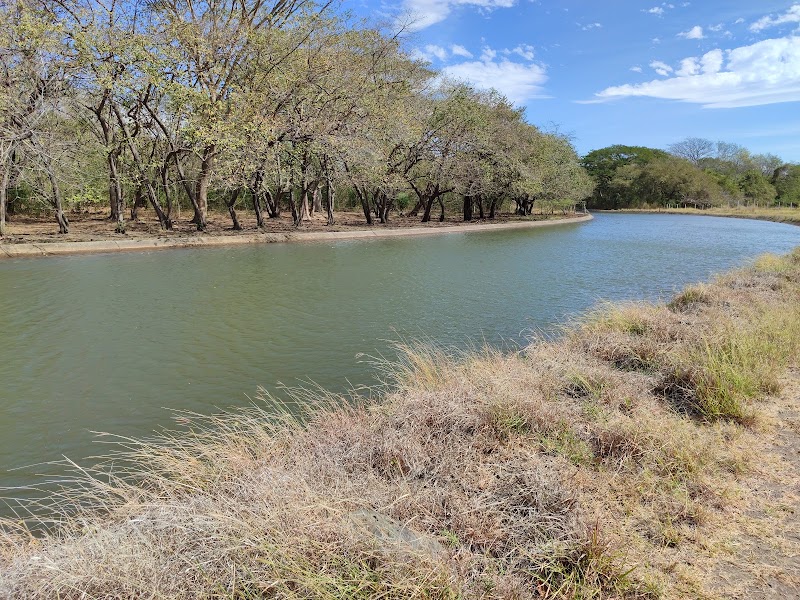 Photo 5 at Parque Nacional Palo Verde in 