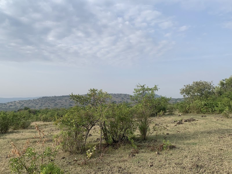 Photo 5 at Ruma National Park in Kericho
