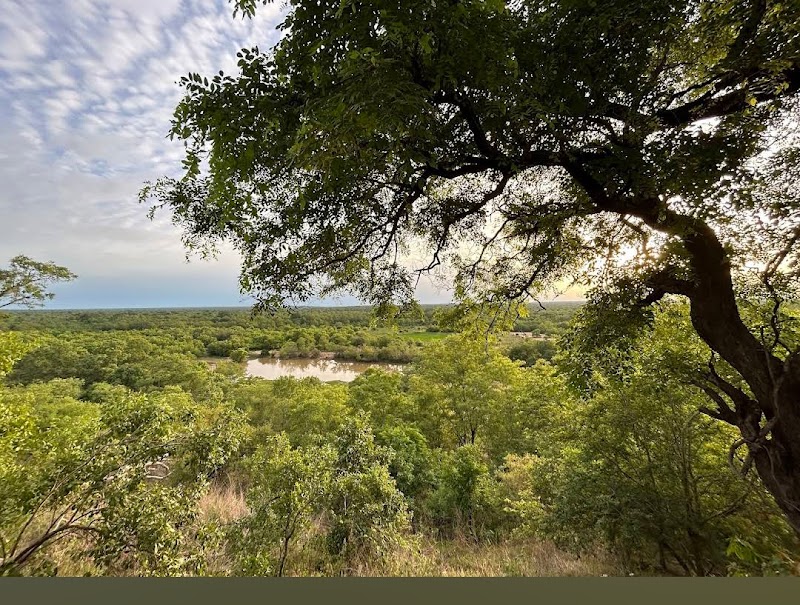 Photo 4 at Mole National Park in 