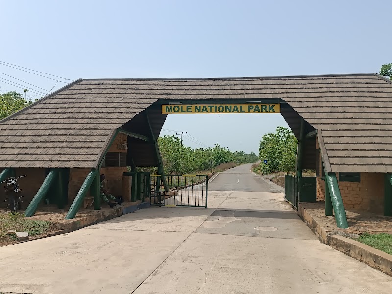 Photo 1 at Mole National Park in 