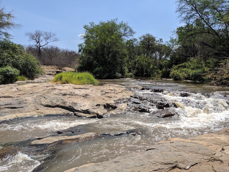 Photo 3 at Meru National Park in Maua