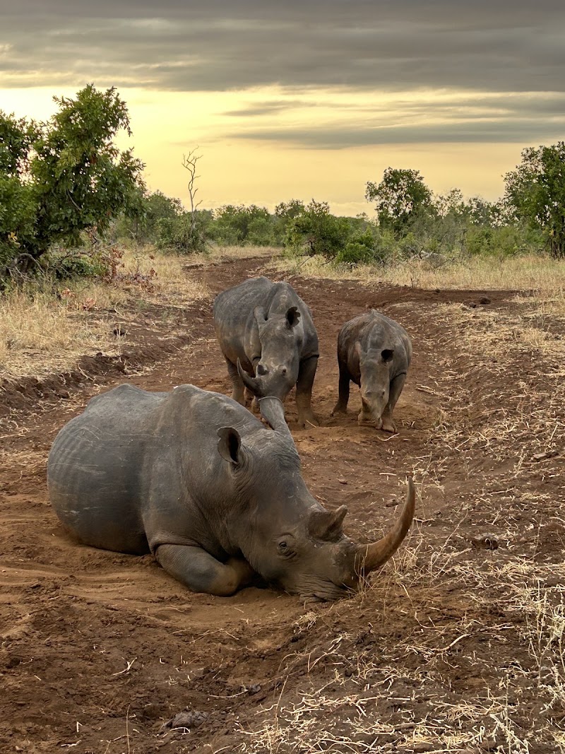 Photo 4 at Meru National Park in Maua