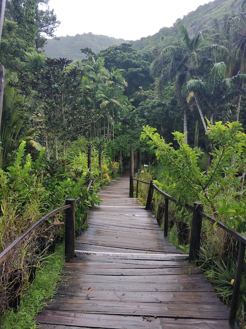 Photo 1 at Garden of the Sleeping Giant in Nadi