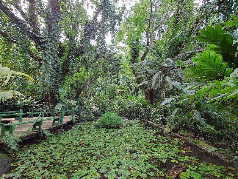 Photo 3 at Garden of the Sleeping Giant in Nadi
